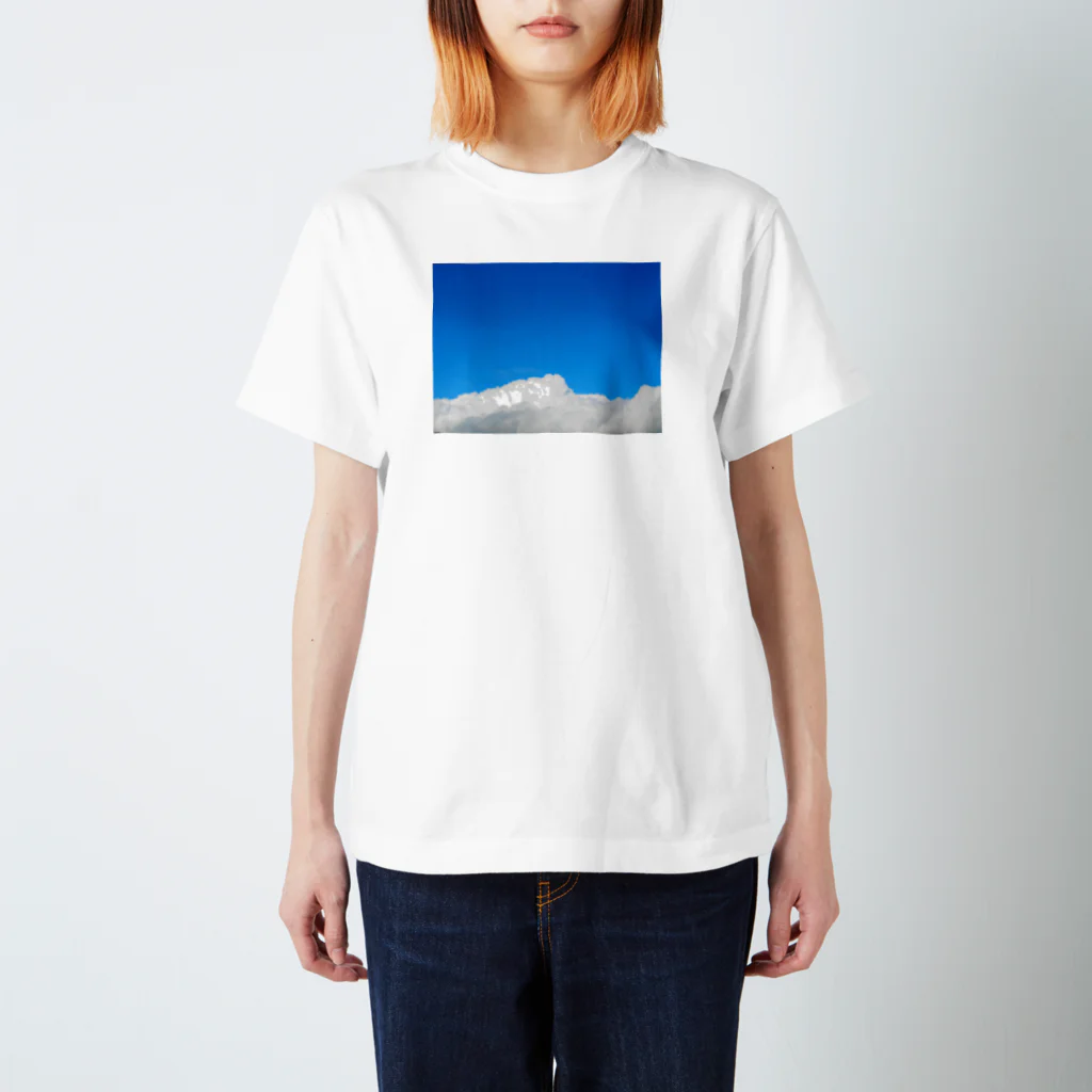 ttr_1992の夏 スタンダードTシャツ