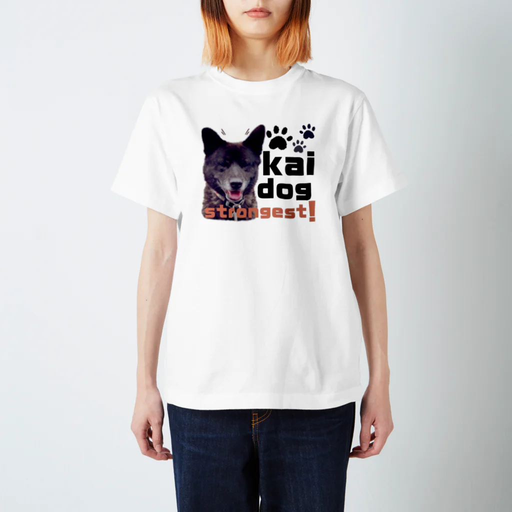 m/kの甲斐犬ネームなし Regular Fit T-Shirt