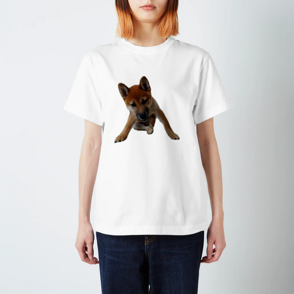 TARO_shibaのやさぐれ太郎 スタンダードTシャツ