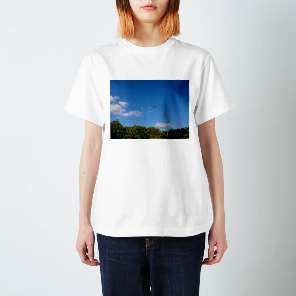 yakitorimanのSKY スタンダードTシャツ