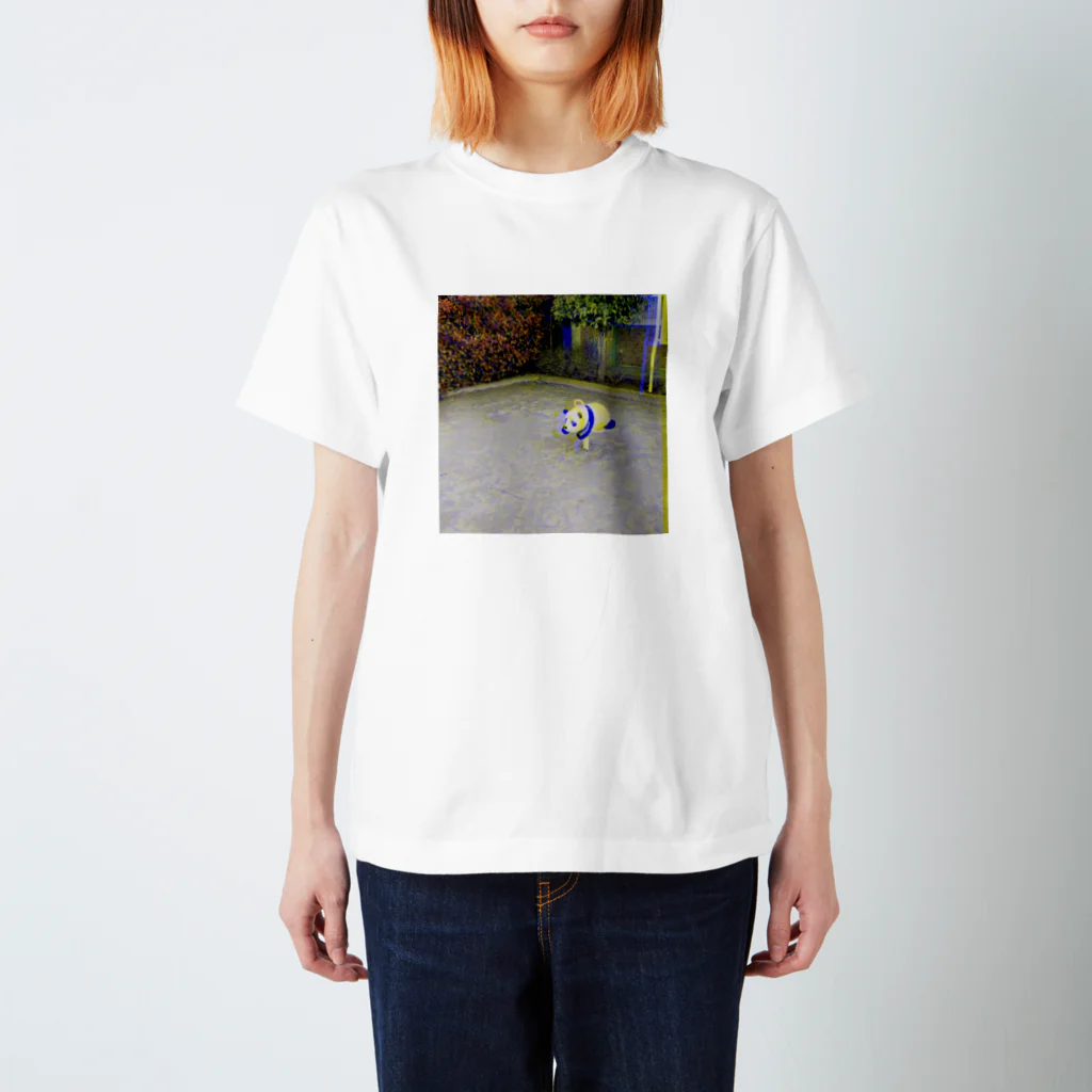 intelligence of 無のlonelyパンダ スタンダードTシャツ