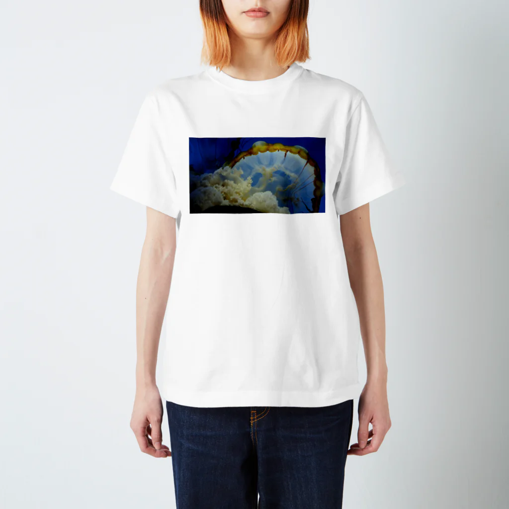 ojinboの積乱雲 Regular Fit T-Shirt