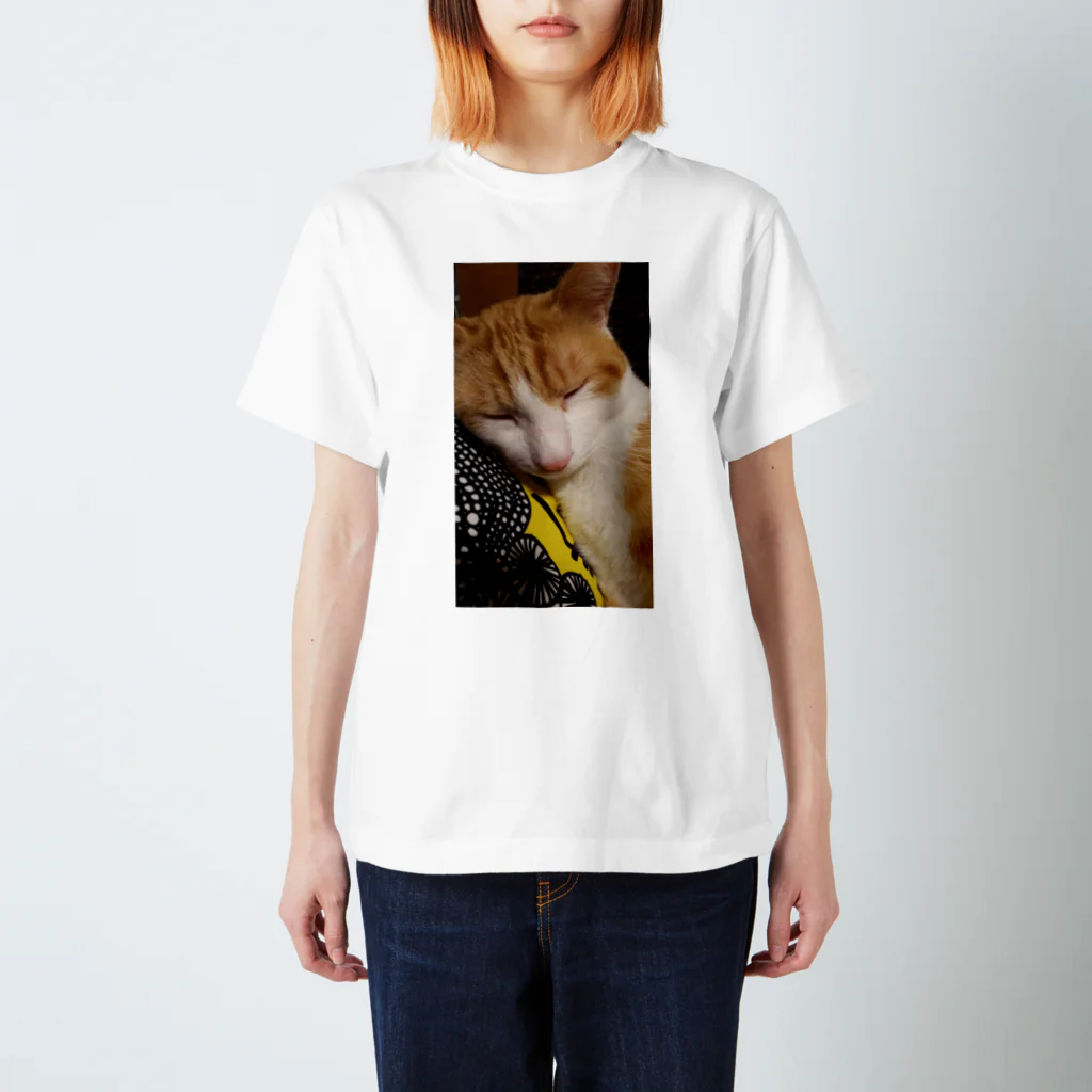 ocheycheyのうちの猫 スタンダードTシャツ