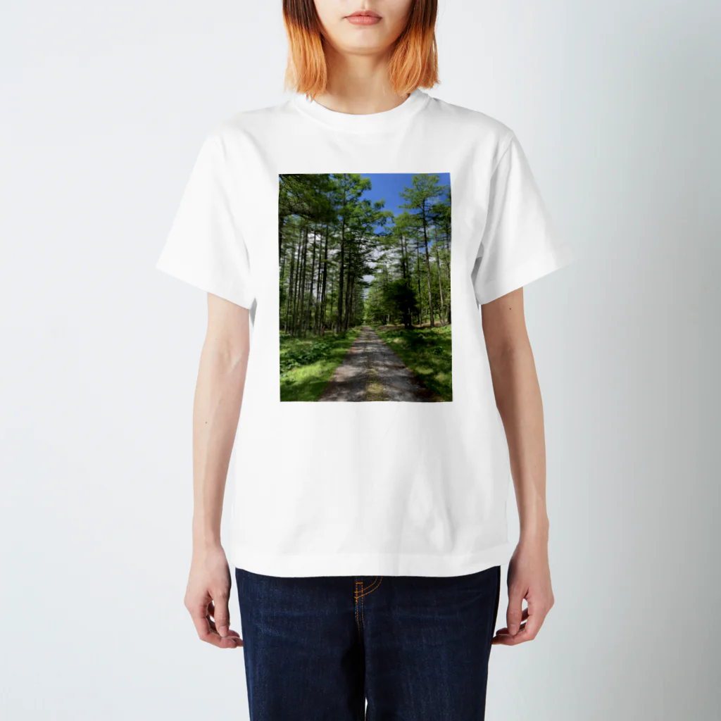 Pirka Nonnoのあの山のいっぽんみち スタンダードTシャツ