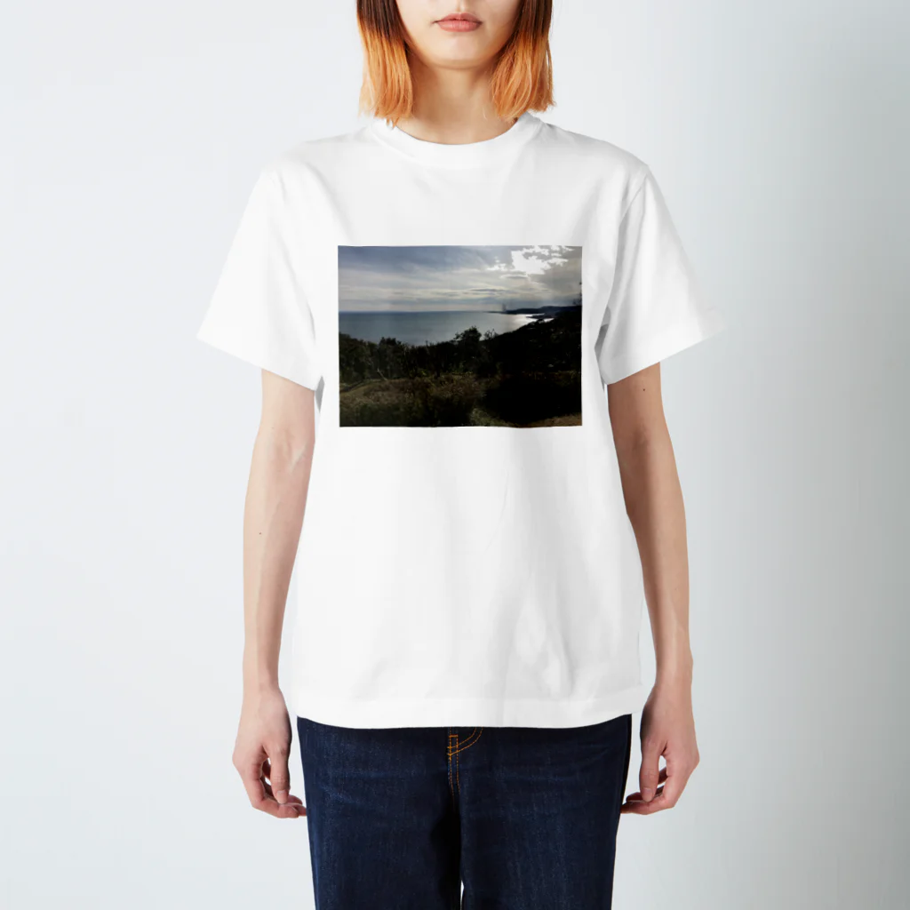 make_me_sad_のSuicidal landscape S/S T スタンダードTシャツ