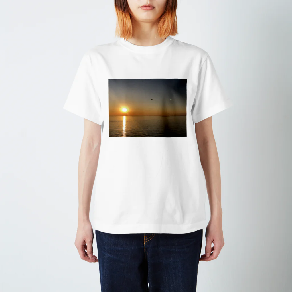 甲羅干しの夕陽の海 Regular Fit T-Shirt