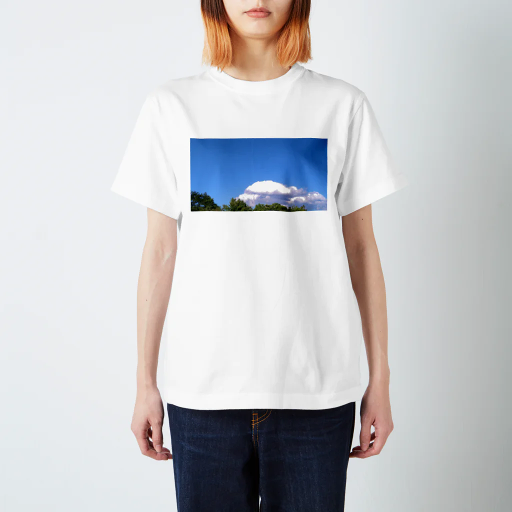 Rebecca Mのｎａｔｓｕｚｏｒａ Regular Fit T-Shirt