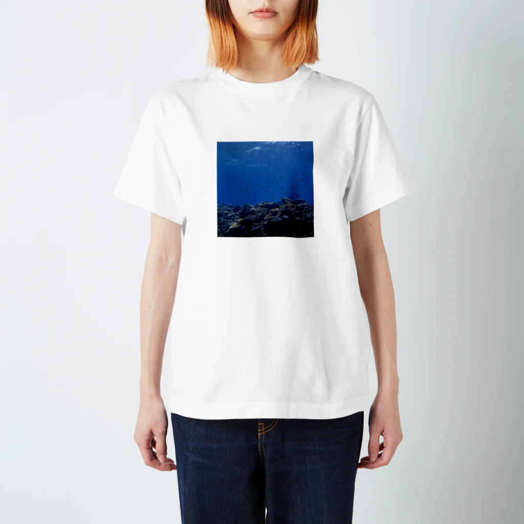 A_Uの別世界１ 西表島 スタンダードTシャツ