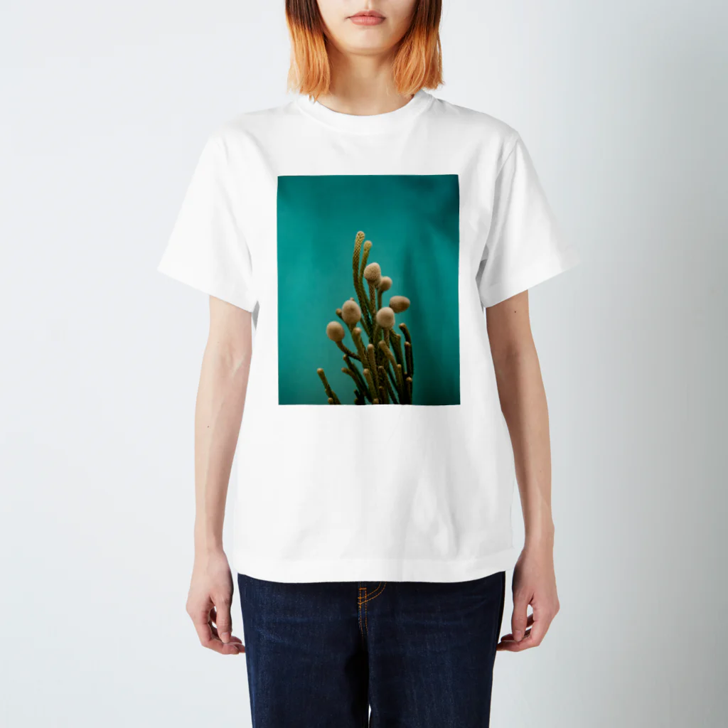 illairheadの腐海に生えている植物 スタンダードTシャツ
