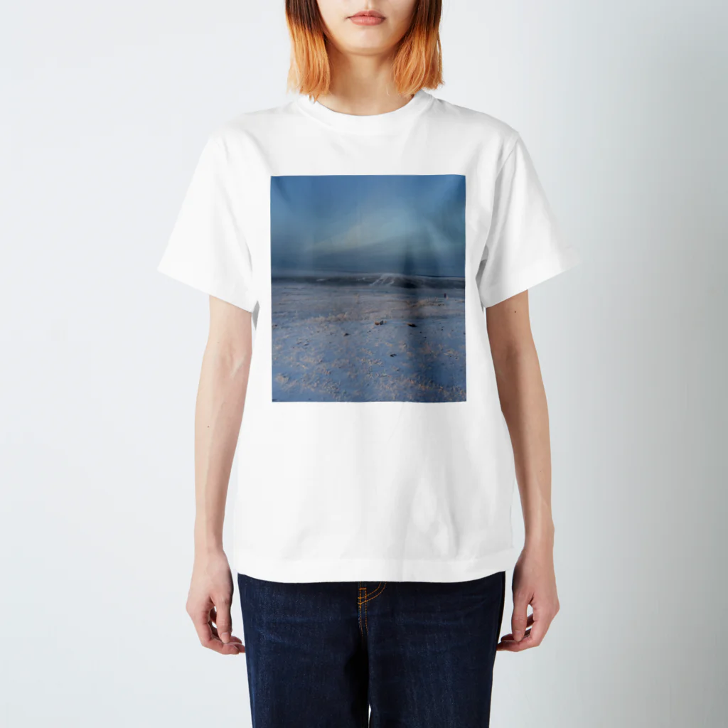 Orchestra:Suzuri支店の世界の風景:Arctic3 Regular Fit T-Shirt