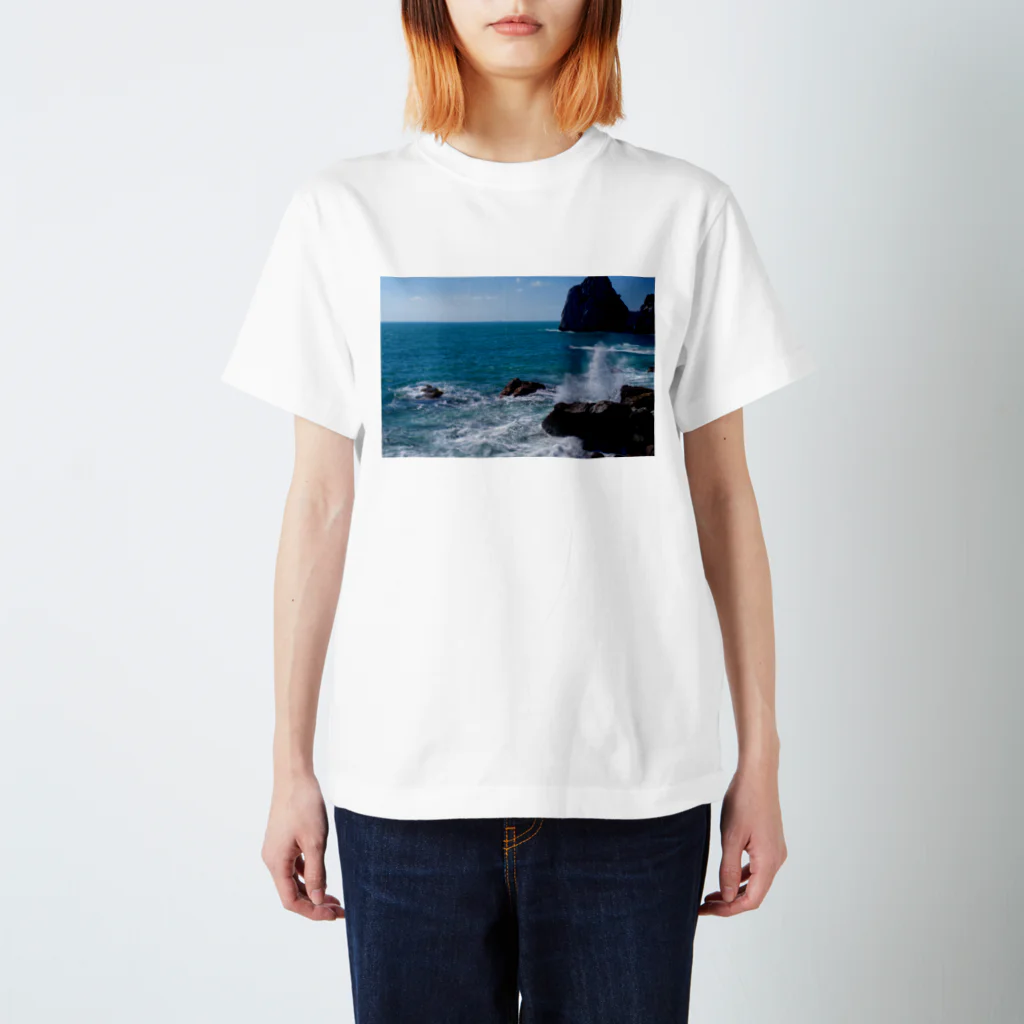 883Rの海、波、自然、波 Regular Fit T-Shirt
