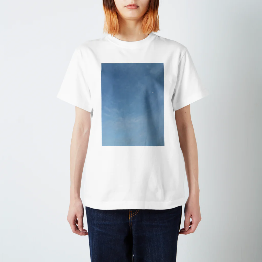 WHOMO_Designの5月の空 スタンダードTシャツ