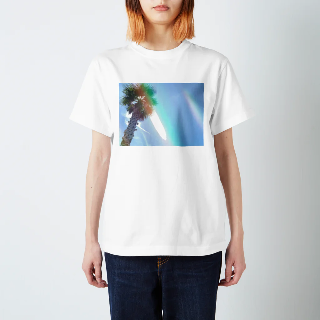 barabara_のomoide/summer Regular Fit T-Shirt