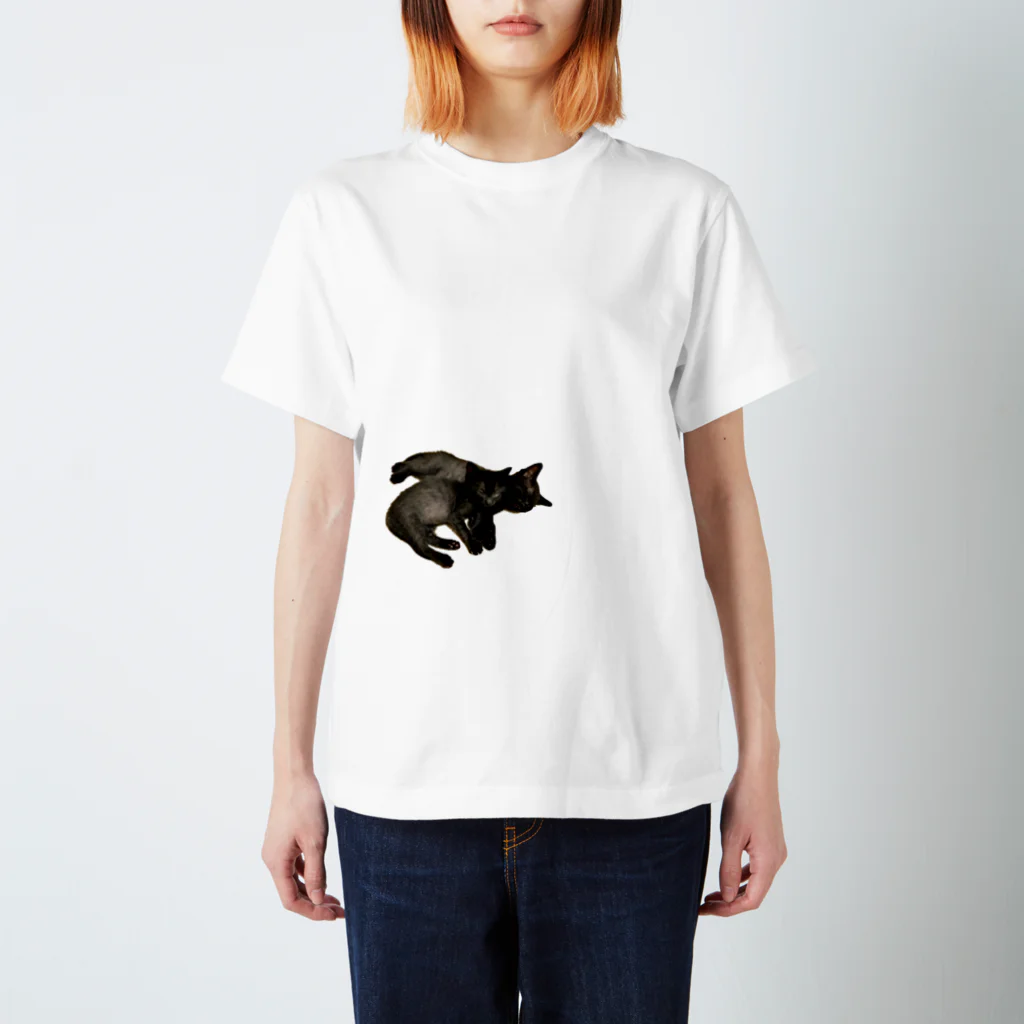 ZINZINの抱っ仔猫 Regular Fit T-Shirt