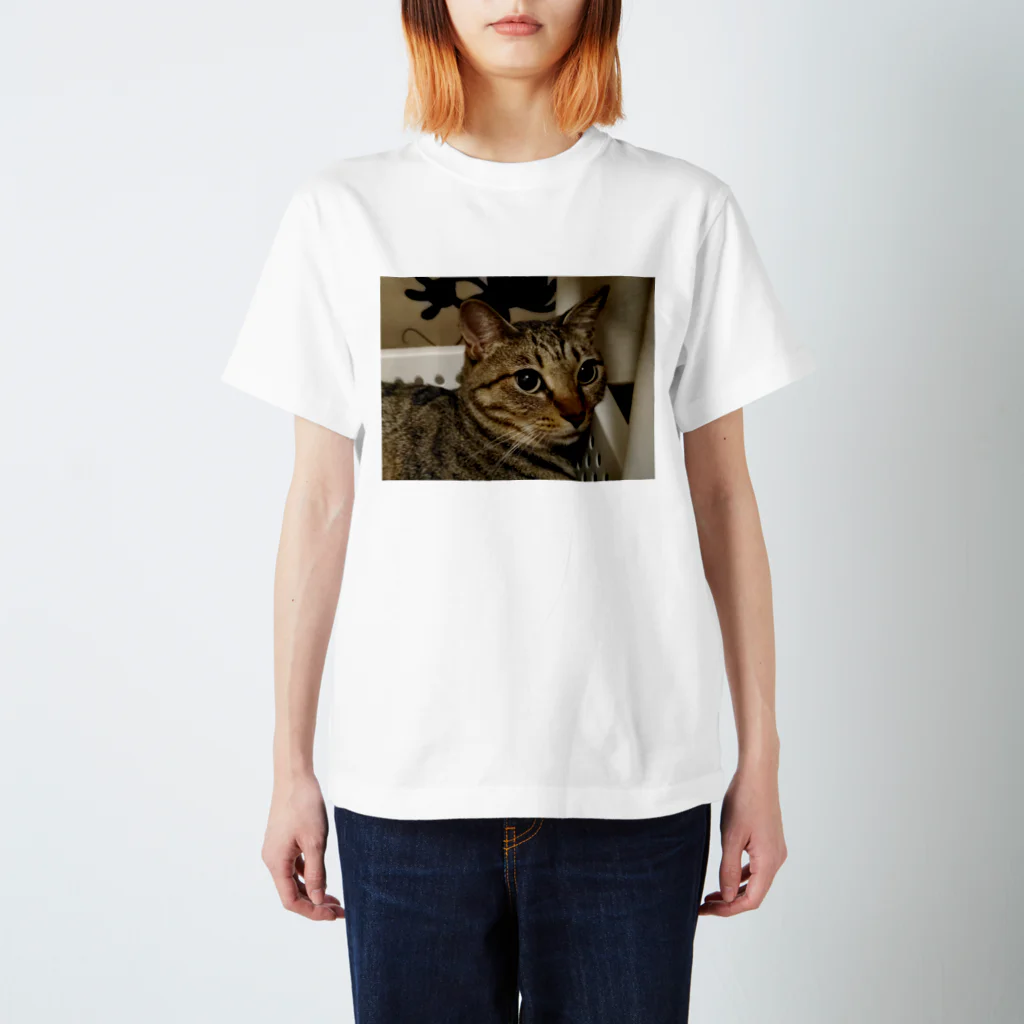 猫又雑貨店のあざ猫さん Regular Fit T-Shirt