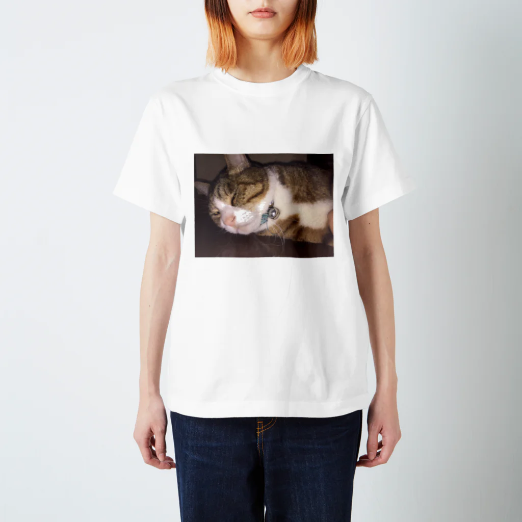 625626のぶさいく猫 Regular Fit T-Shirt