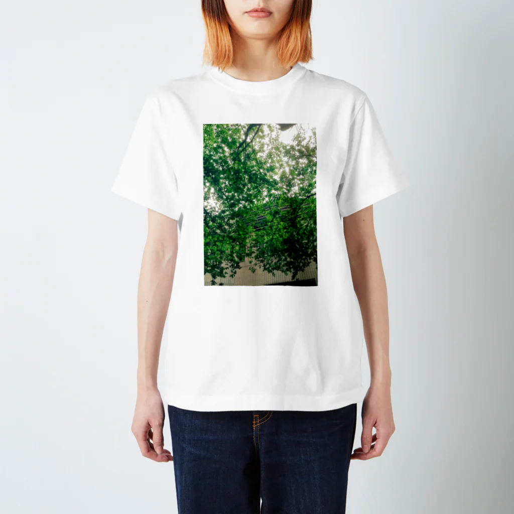 625626の緑 Regular Fit T-Shirt