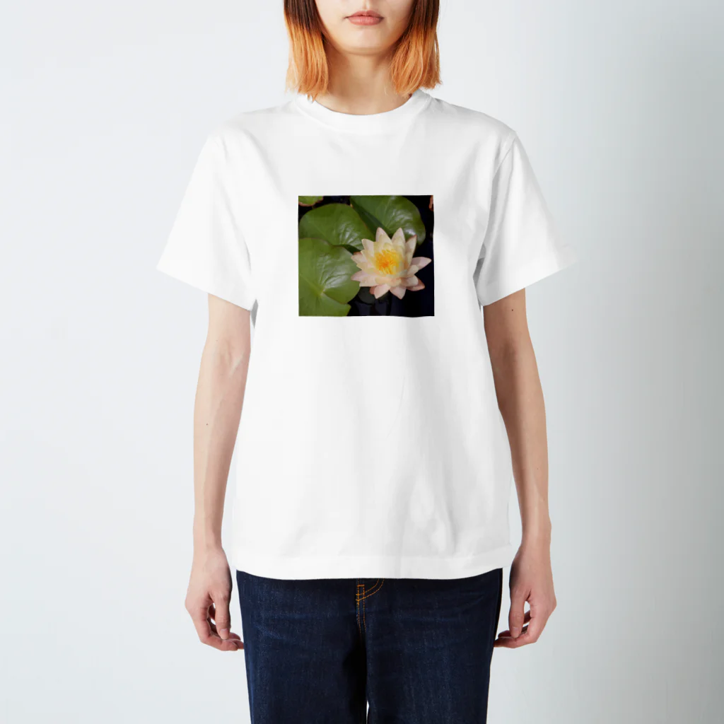 Scene_Sniperの黄色いハス001 スタンダードTシャツ