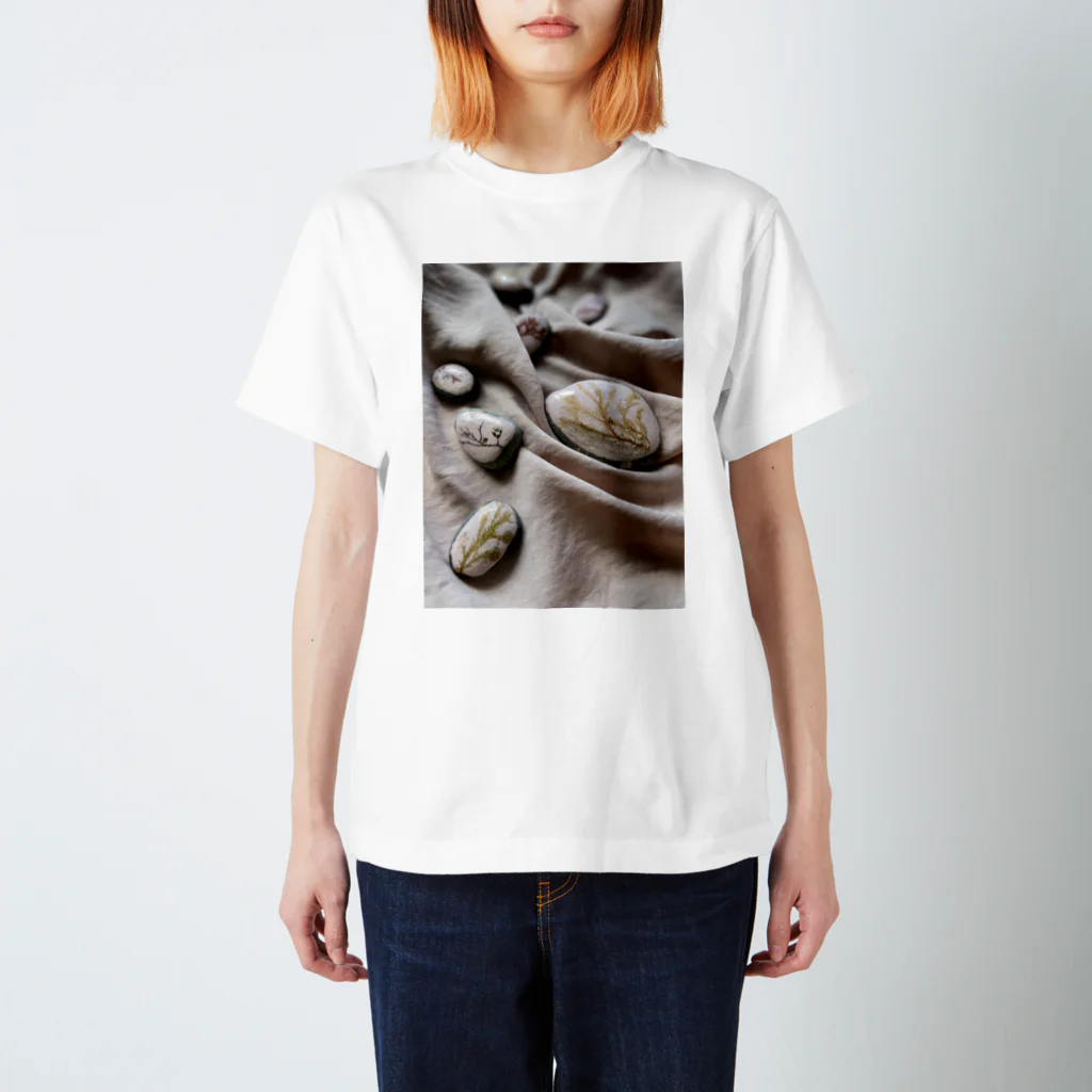 aki🧜‍♀️kia ＊人魚のトランクのseaweed stones スタンダードTシャツ