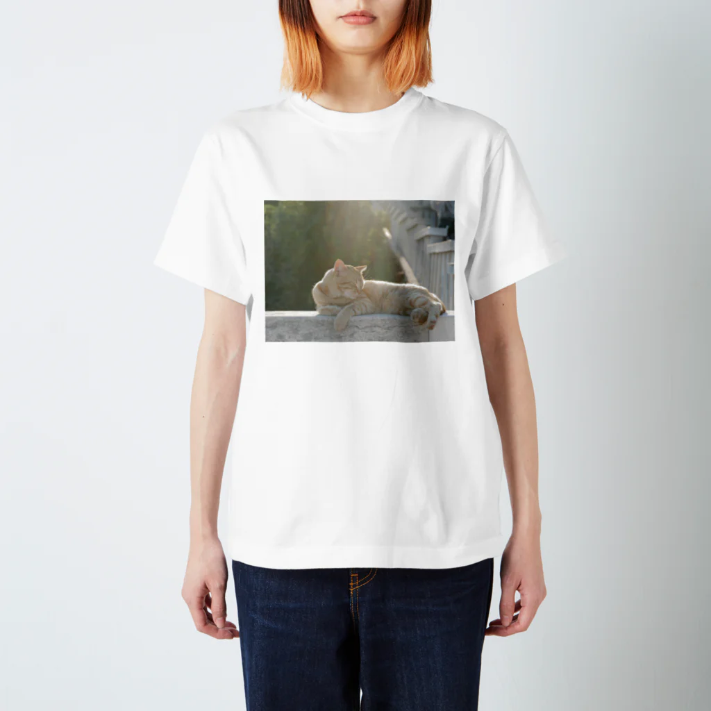 dead stock soupの光を浴びる猫 Regular Fit T-Shirt