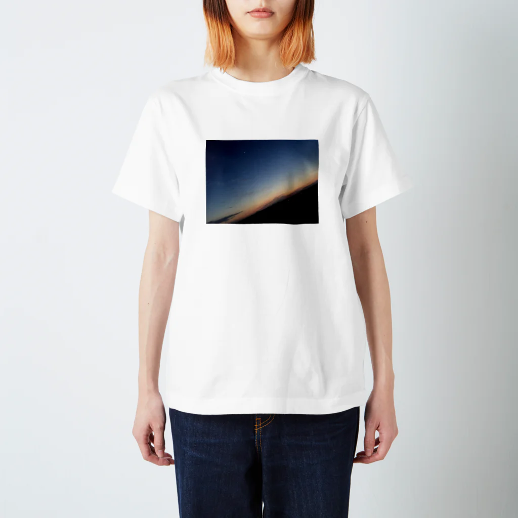 鮭の田舎の景色 スタンダードTシャツ