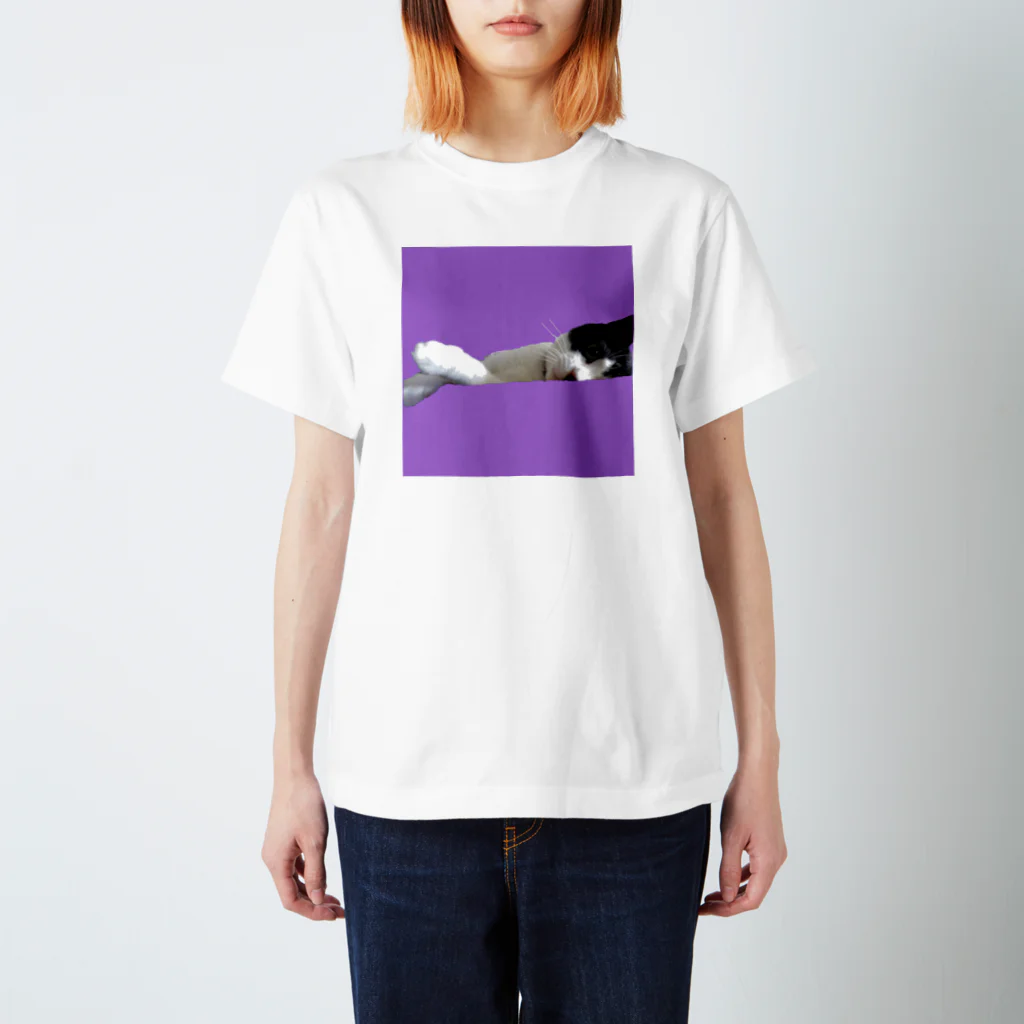 猫好きの横たわりはちわれ猫 Regular Fit T-Shirt