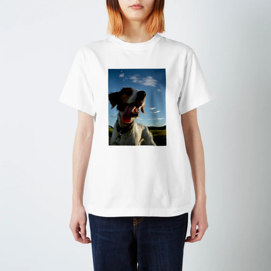 kyuの稲と犬 スタンダードTシャツ