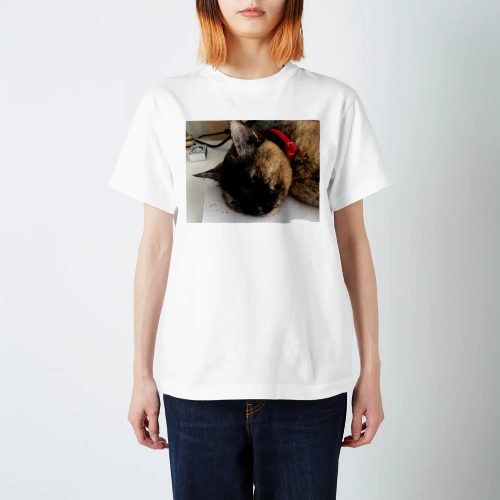 二毛猫の魚食べたいね。 Regular Fit T-Shirt