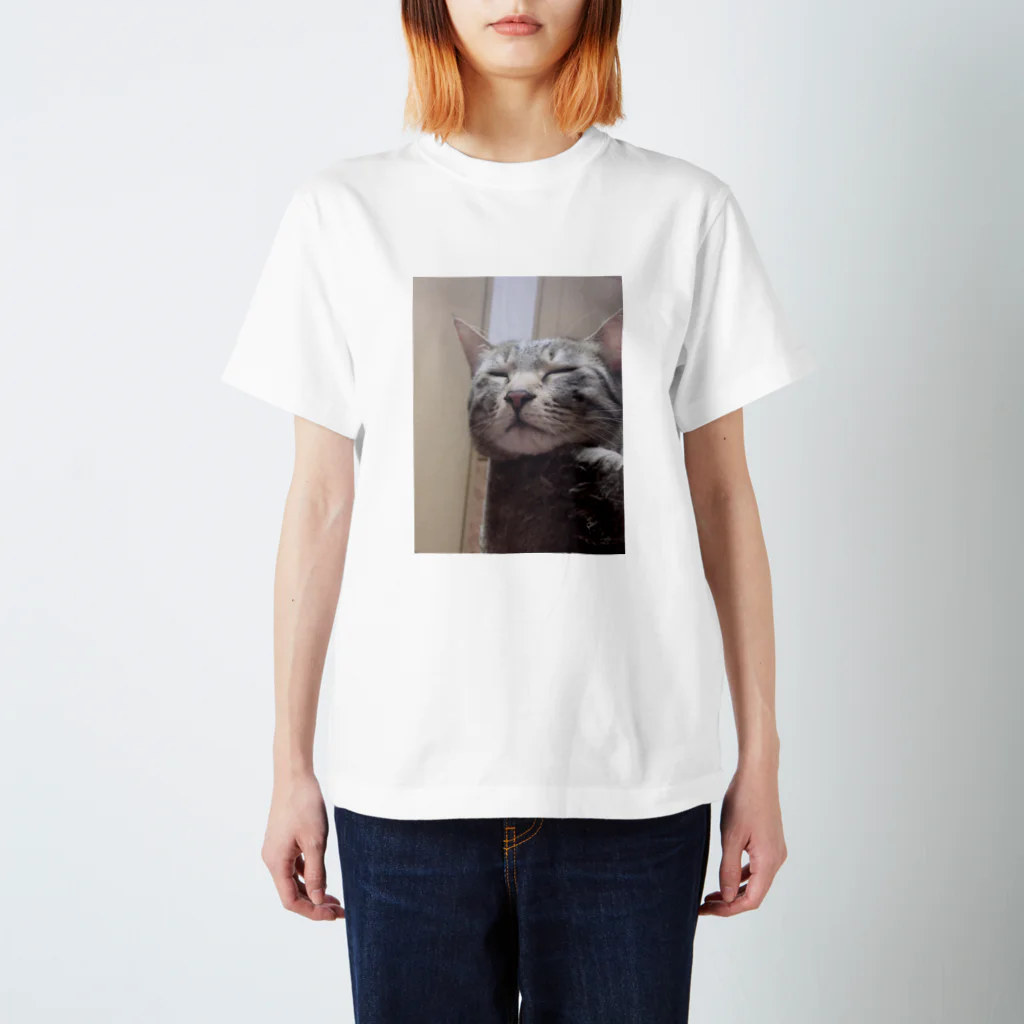 Jのきょんこぽん酢の家の猫可愛いでしょ？ スタンダードTシャツ