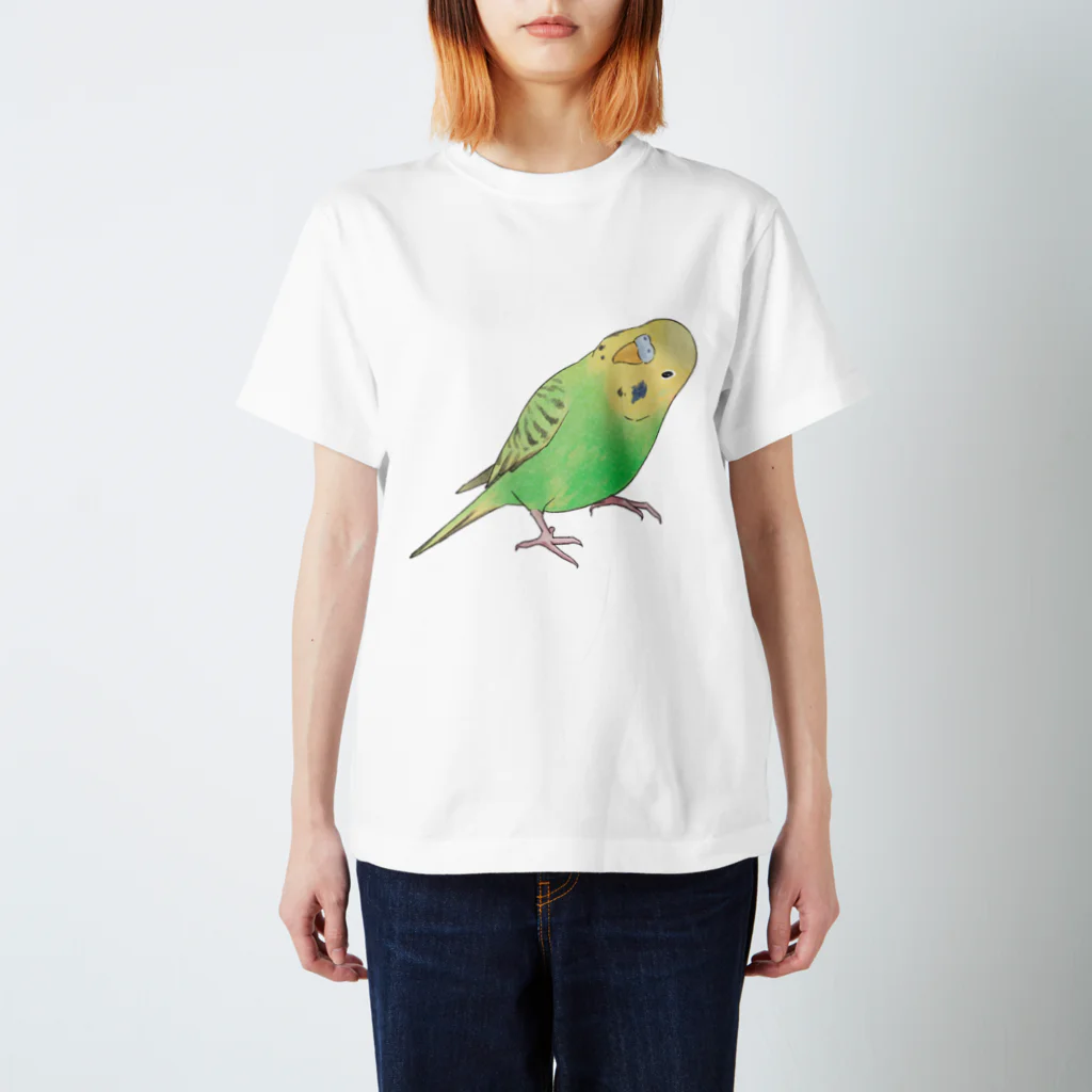 まめるりはことりの首傾げセキセイインコ　ピーちゃん【まめるりはことり】 スタンダードTシャツ