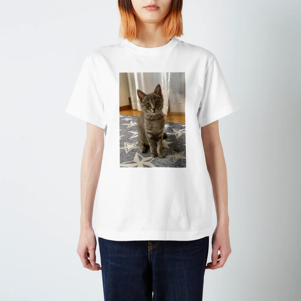 AWA・AWAの子猫の眼差し Regular Fit T-Shirt