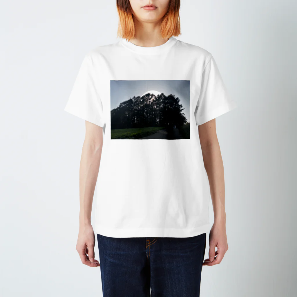 御林園芸の叔父の山 Regular Fit T-Shirt