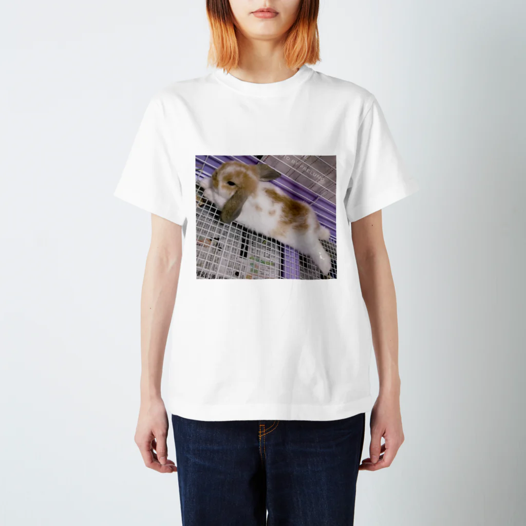 asianaのうさぎさんTシャツ<リラックス> Regular Fit T-Shirt