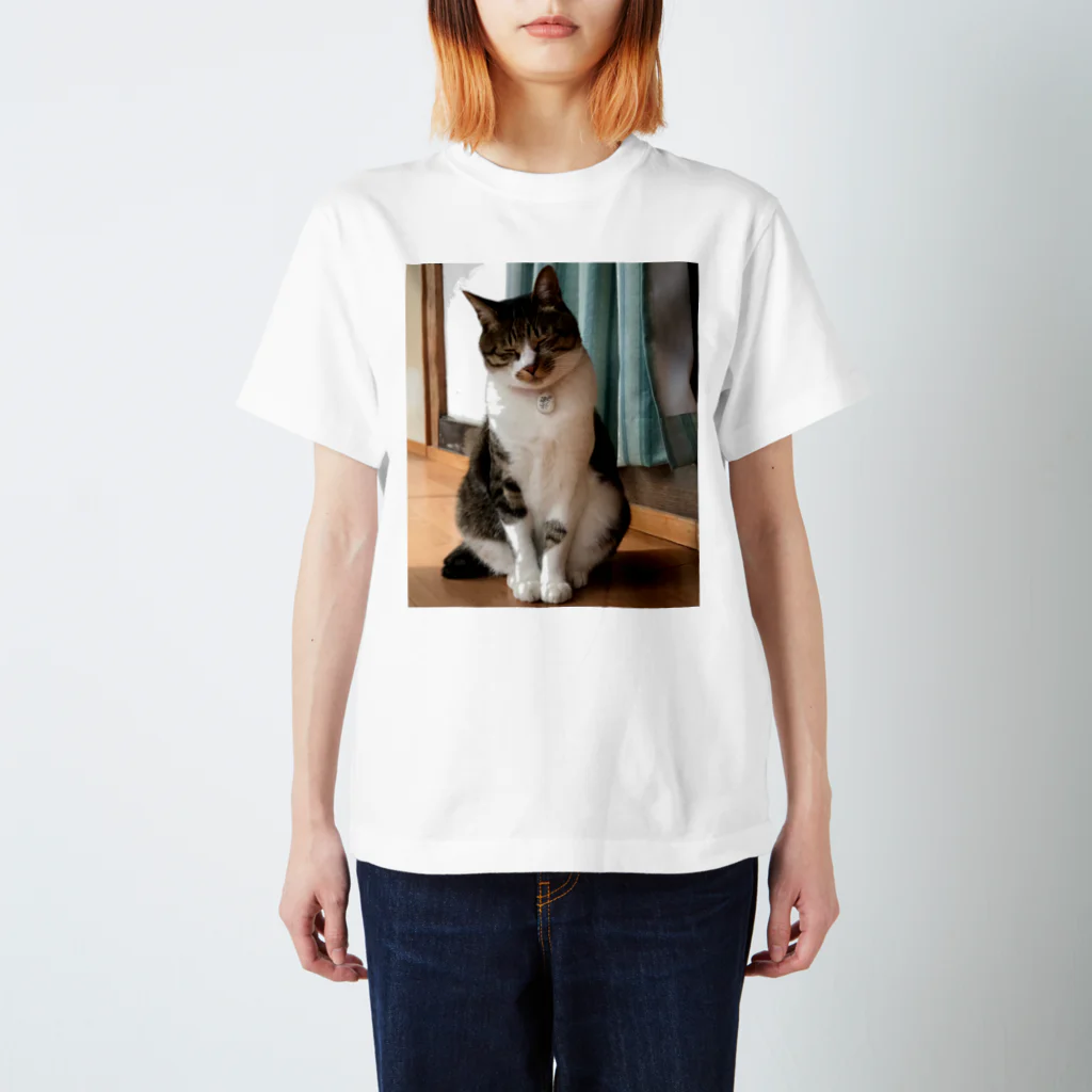 Yamawaki17のキャットネコ猫（実写） スタンダードTシャツ