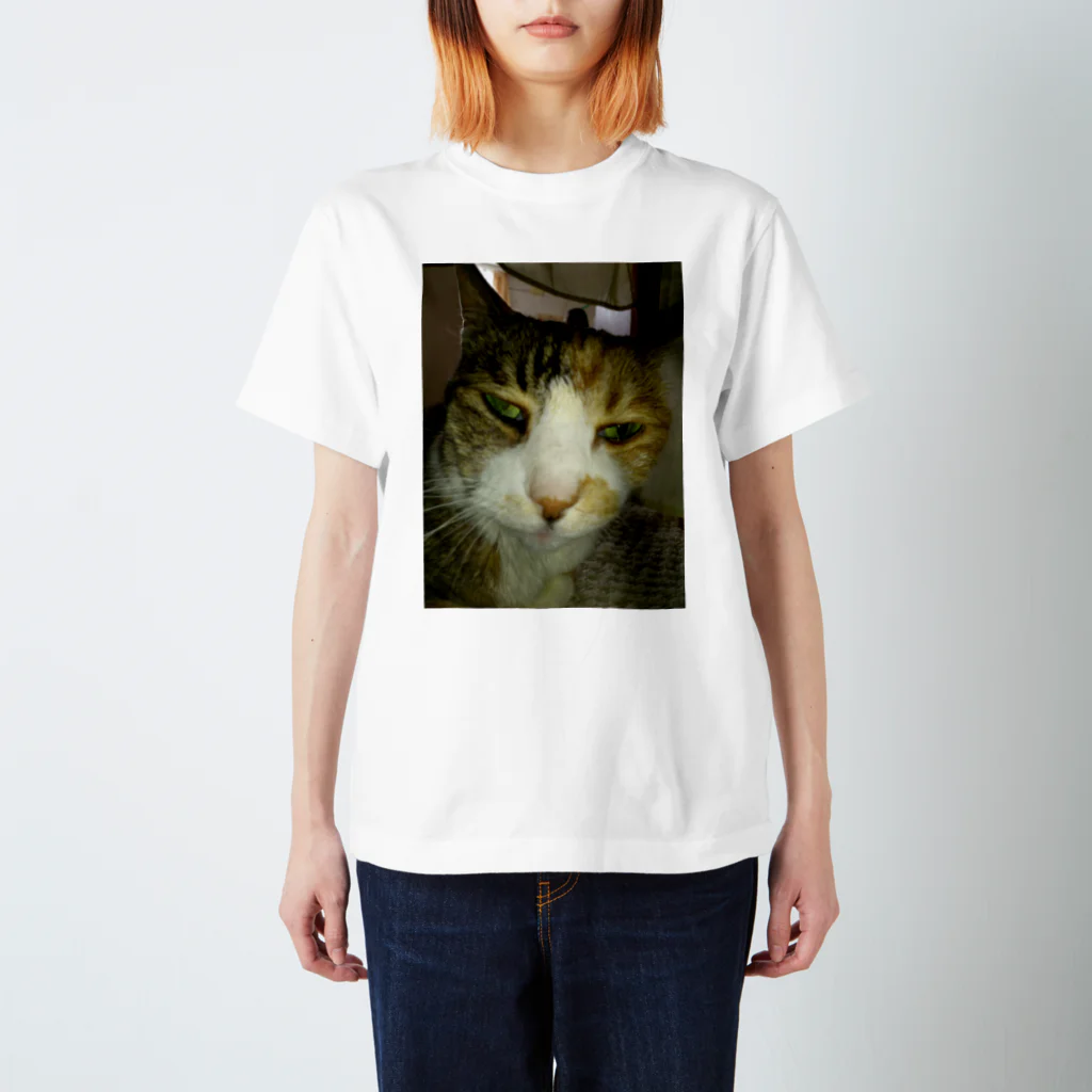 powpowの寝ぼけ猫 スタンダードTシャツ