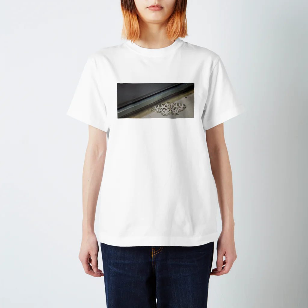 空中分解するもすらのわしのしゃしん Regular Fit T-Shirt