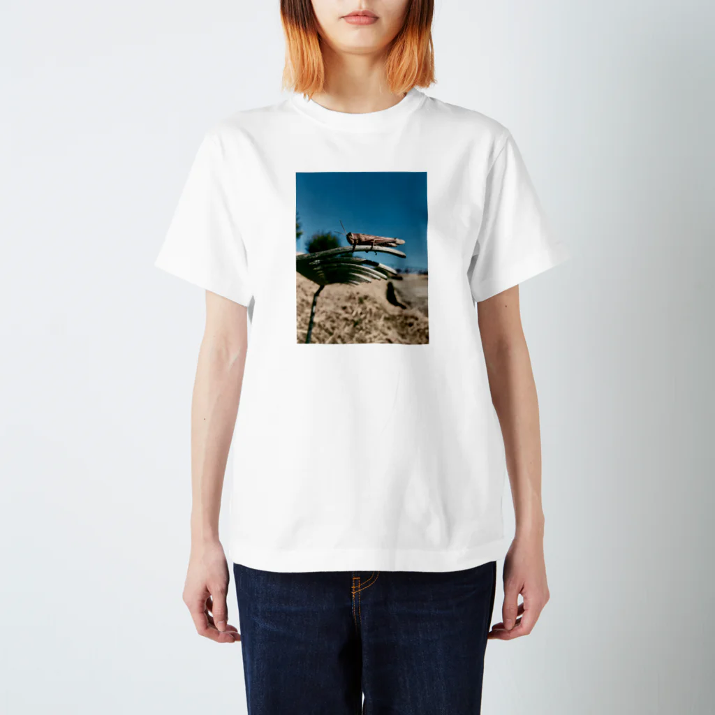 Bokunchiのアナゴ スタンダードTシャツ