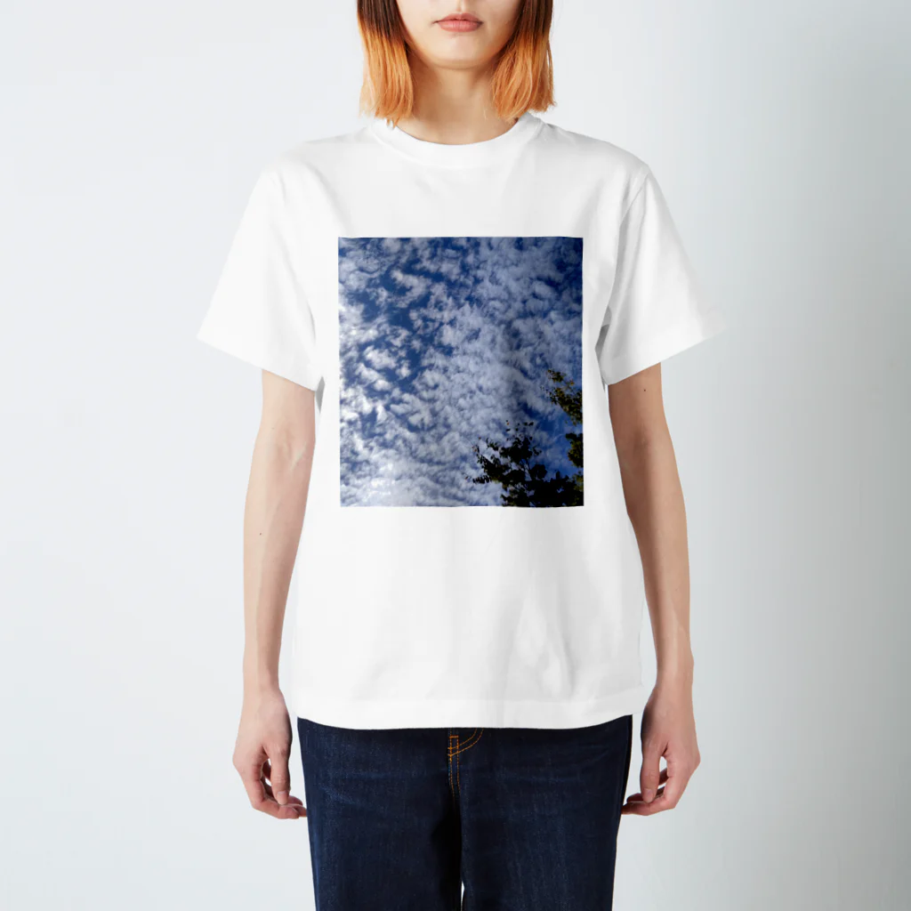 Lily bird（リリーバード）のいわし雲photo2 スタンダードTシャツ