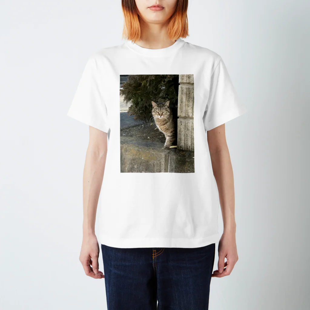 シンたまのジト目猫ちゃん スタンダードTシャツ