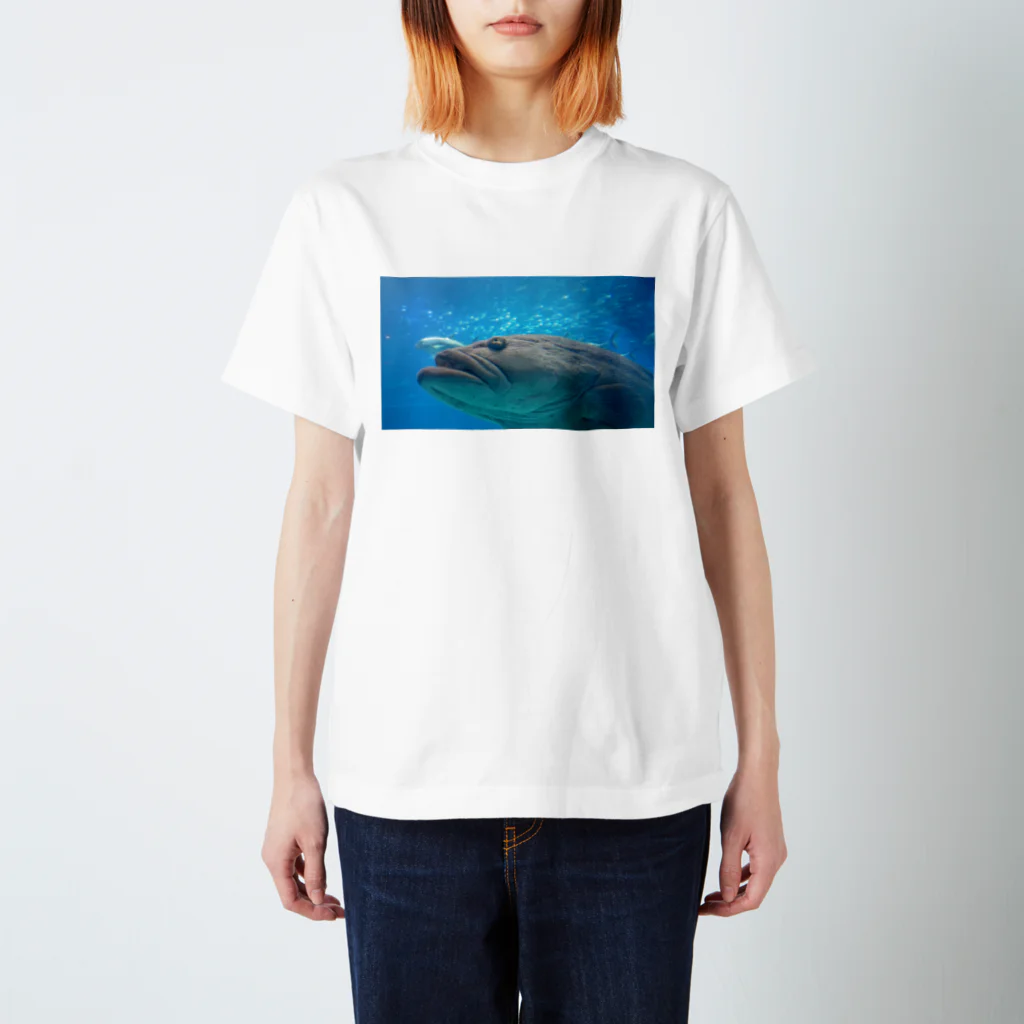 お茶屋さんの圧倒的に魚ちゃん スタンダードTシャツ