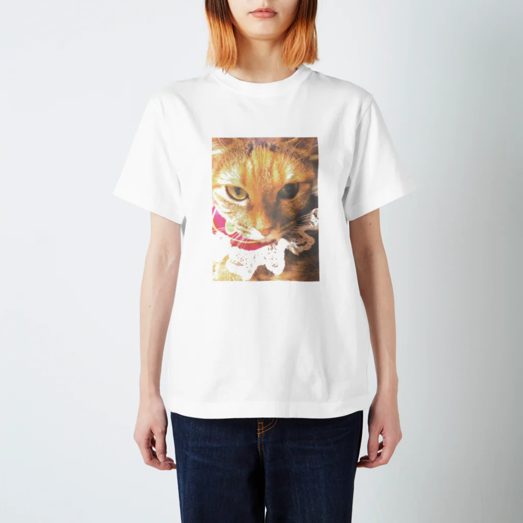 猫雑貨さんちこの猫プリンちゃん（姫） スタンダードTシャツ