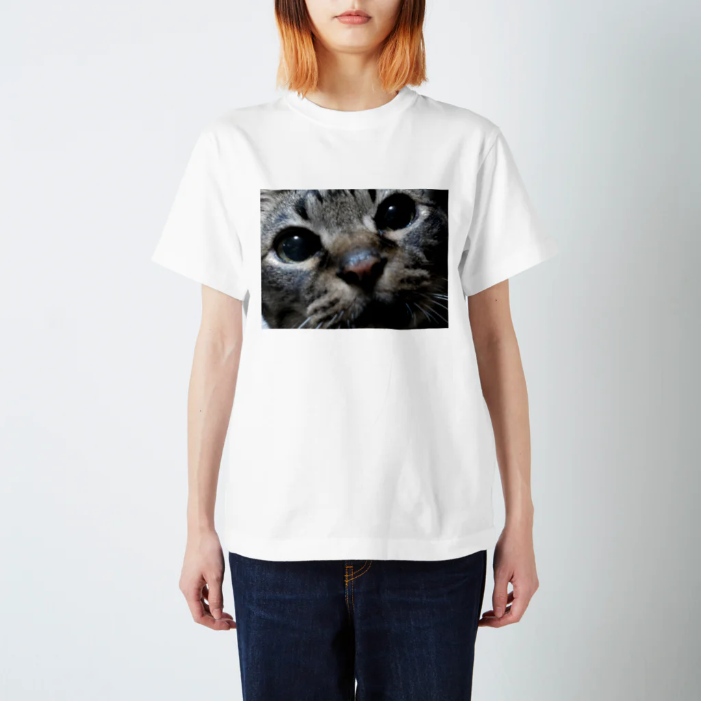 ハチワレ猫とらくがきの我が家の先代猫 スタンダードTシャツ