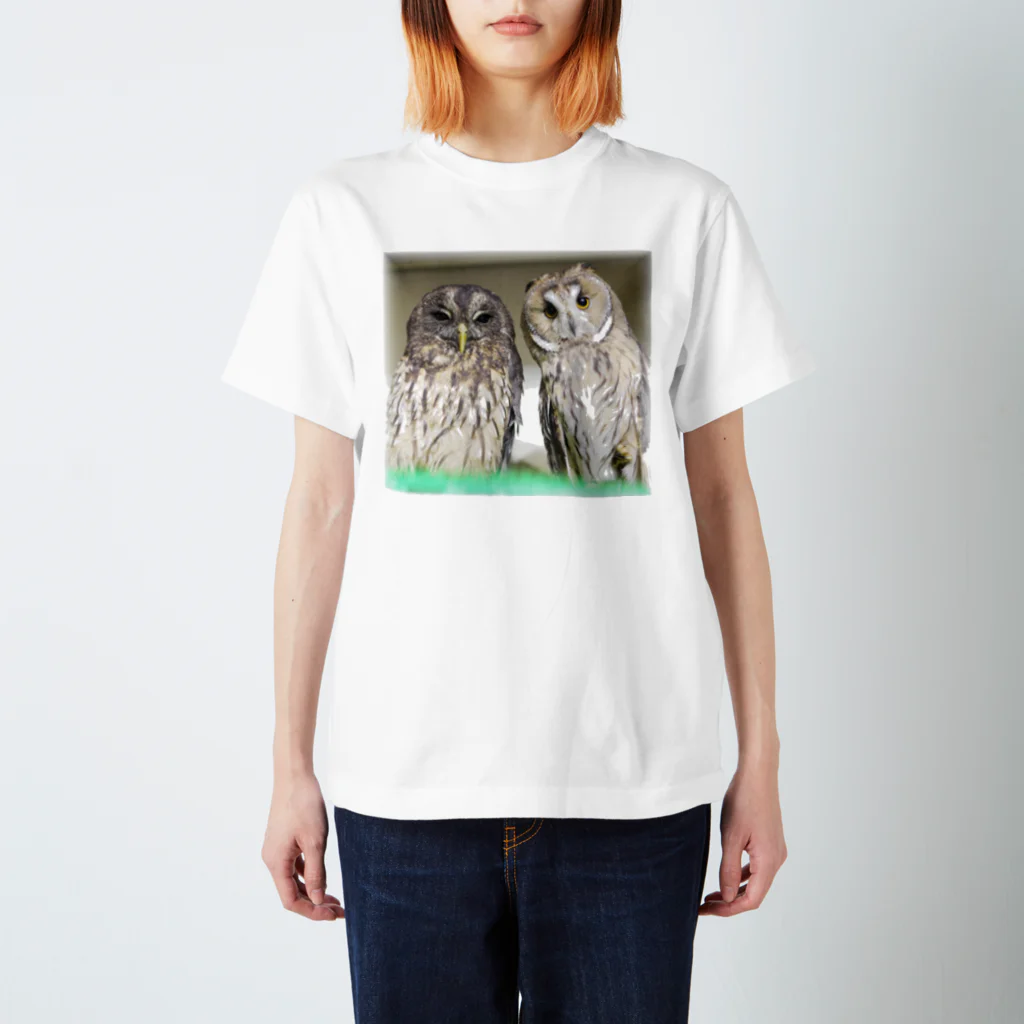 アニマルカフェ　The zoo &猛禽屋中部のナンベイヒナフクロウ&トラフズク スタンダードTシャツ