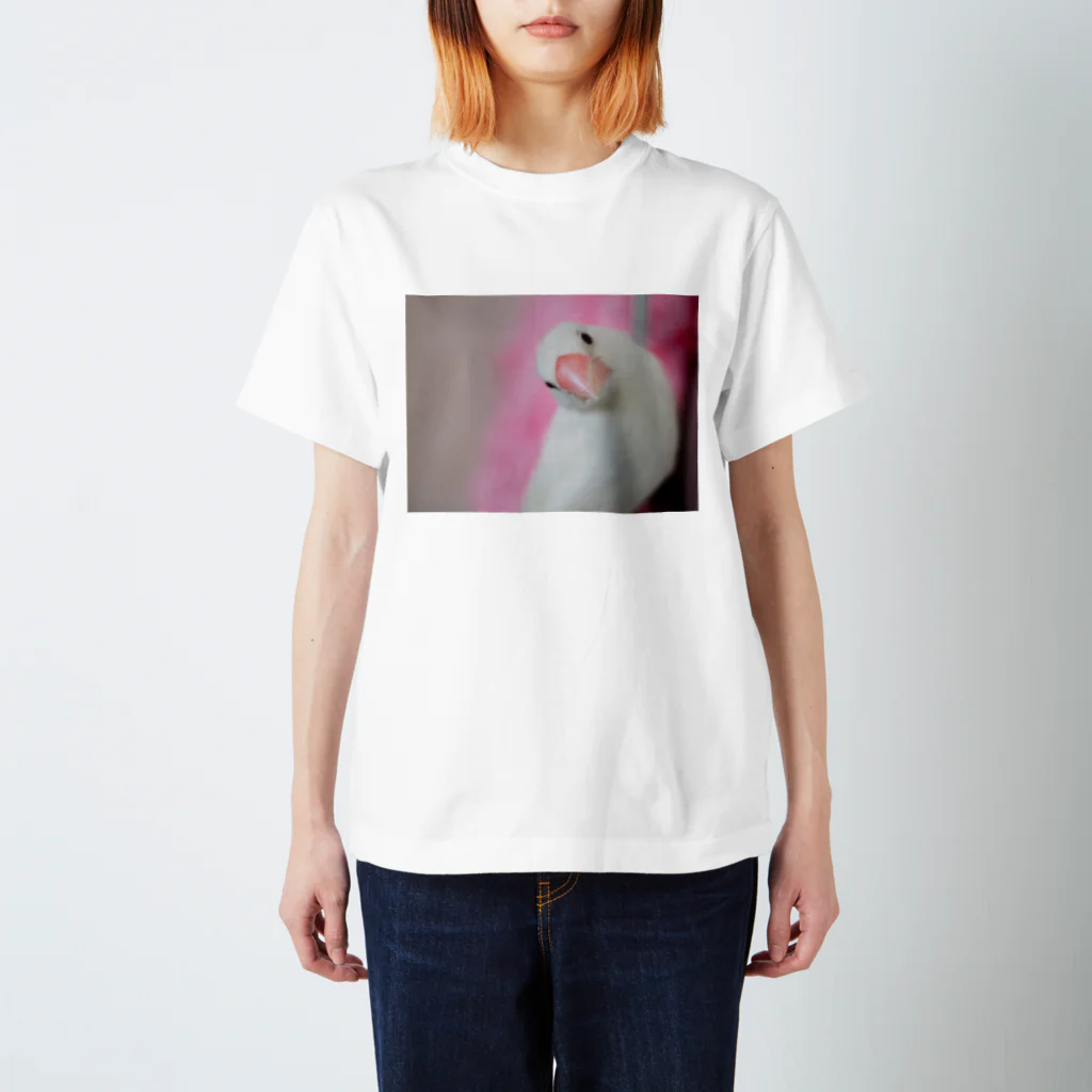 文鳥生活のてのひら文鳥もんちゃん Regular Fit T-Shirt