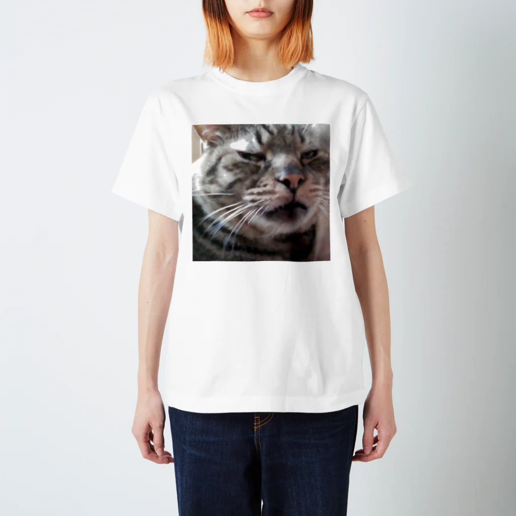 Harusamesame のにゃっ太2 Regular Fit T-Shirt