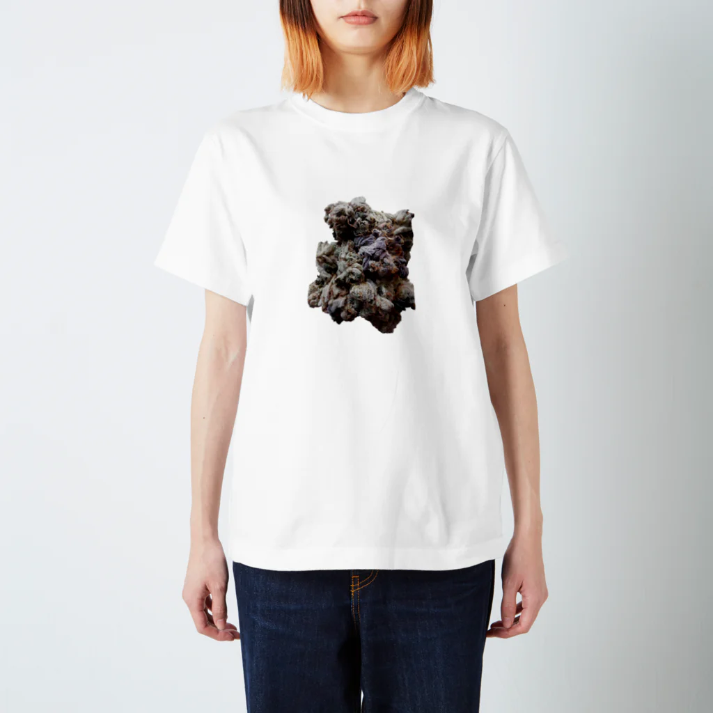 weneedweed1988@(日本人)大麻取締法に挑む。の花 スタンダードTシャツ