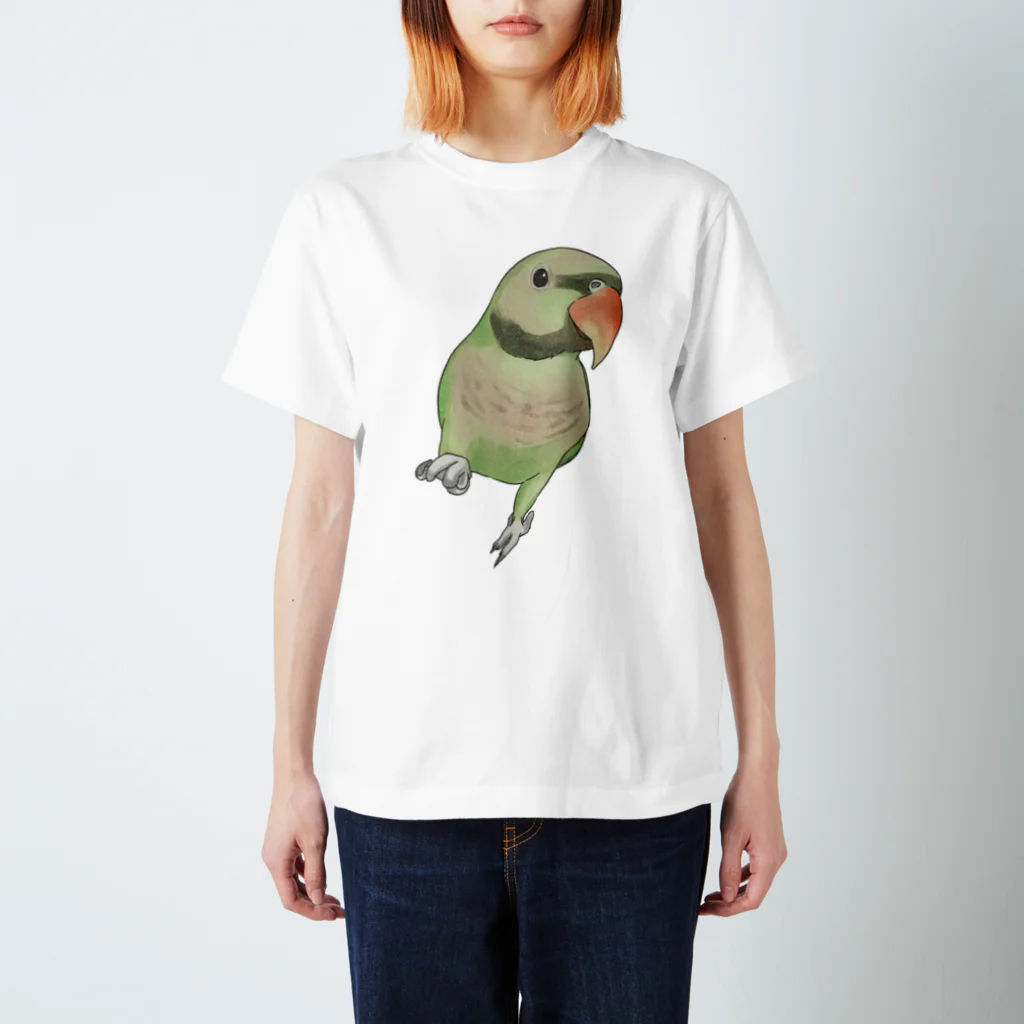 まめるりはことりのご機嫌なダルマインコちゃん【まめるりはことり】 スタンダードTシャツ