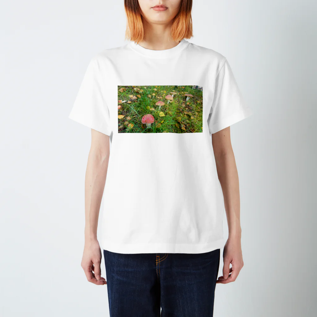 荒ぶるハムスターの毒キノコ スタンダードTシャツ