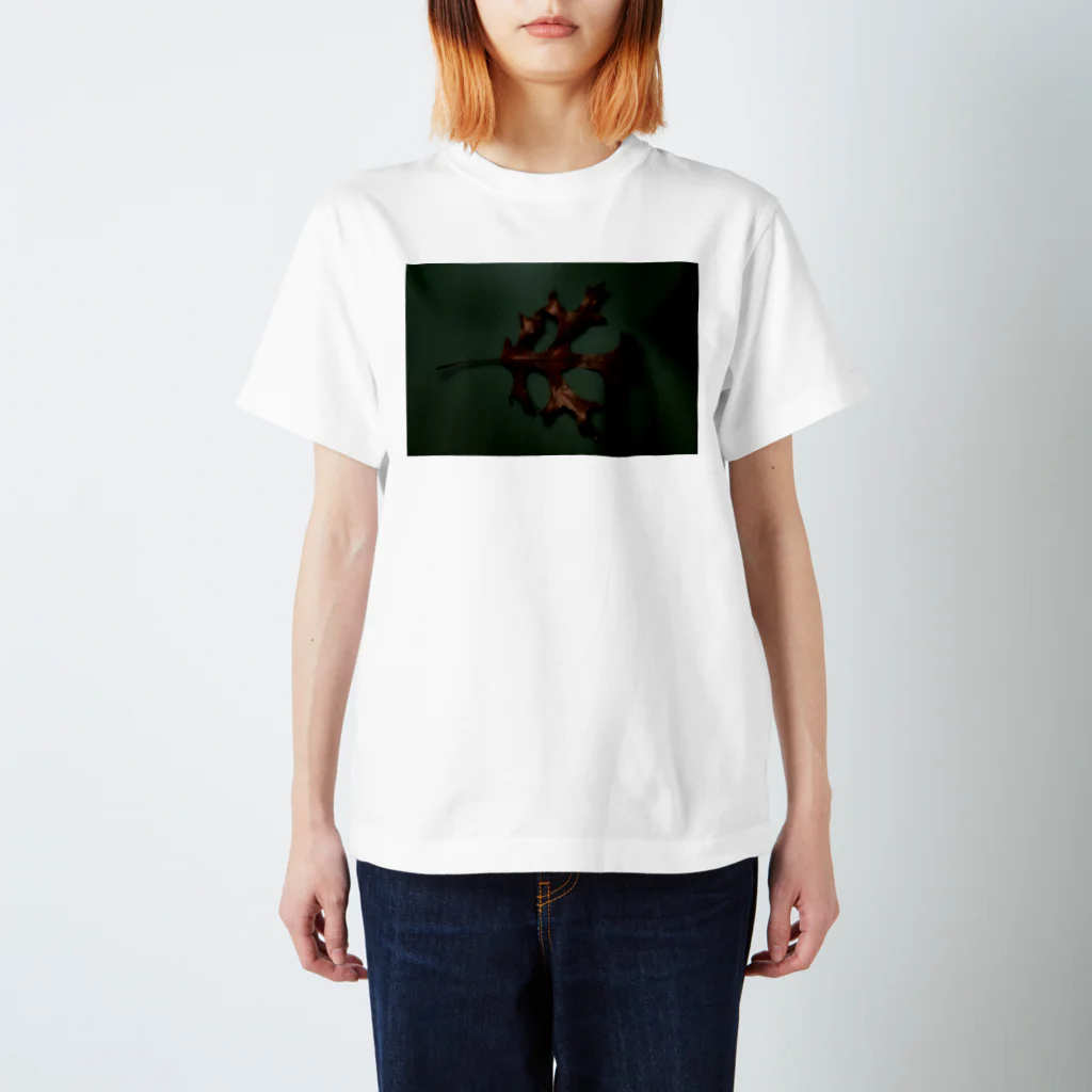 Ushunのdry leaf スタンダードTシャツ