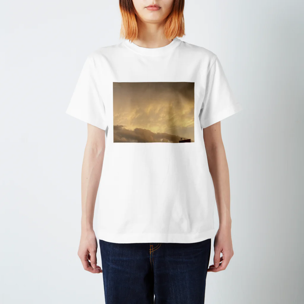 kaori＊ボタンの夕焼け Regular Fit T-Shirt